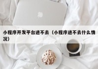 小程序開發(fā)平臺進不去（小程序進不去什么情況）