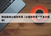 微信商城小程序開發(fā)（小程序開發(fā)一個多少錢?。? /></a>
		</div>
		<div   id=