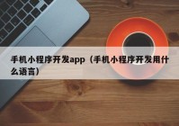 手機(jī)小程序開發(fā)app（手機(jī)小程序開發(fā)用什么語(yǔ)言）