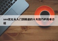 seo優(yōu)化從入門到精通的十大技巧的簡(jiǎn)單介紹