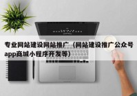 專業(yè)網站建設網站推廣（網站建設推廣公眾號app商城小程序開發(fā)等）