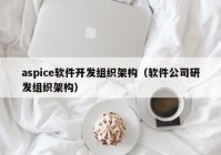 aspice軟件開(kāi)發(fā)組織架構(gòu)（軟件公司研發(fā)組織架構(gòu)）