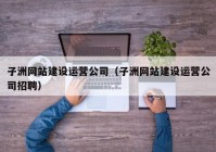 子洲網(wǎng)站建設運營公司（子洲網(wǎng)站建設運營公司招聘）