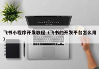 飛書小程序開(kāi)發(fā)教程（飛書的開(kāi)發(fā)平臺(tái)怎么用）