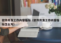 軟件開(kāi)發(fā)工作內(nèi)容指標(biāo)（軟件開(kāi)發(fā)工作內(nèi)容指標(biāo)怎么寫）